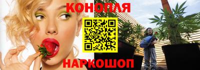 гидропоника Изобильный