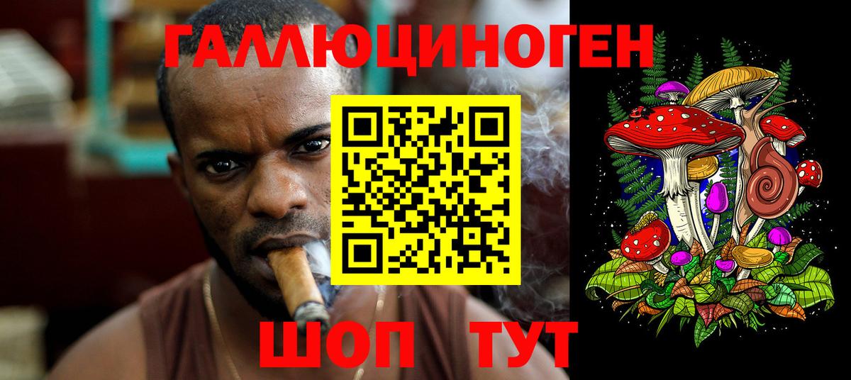 где можно купить наркотик  Галлюциногенные грибы Psilocybe  Вход с VPN  Комсомольск-на-Амуре 